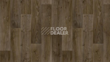 Линолеум Tarkett Discovery RIGARD 3 фото 1 | FLOORDEALER